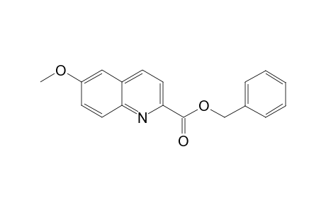 Benzyl 6-methoxyquinoline-2-carboxylate
