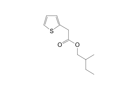 Thiophene-2-acetic acid, 2-methylbutyl ester