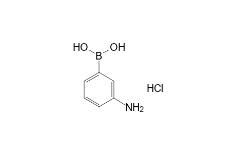 3-Aminobenzeneboronic acid hydrochloride