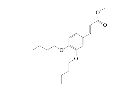 Methyl 3-(3,4-bis(N-butyl)oxyphenyl)prop-2-enoate