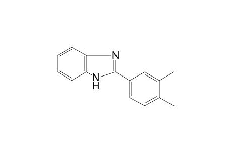 2-(3,4-xylyl)benzimidazole