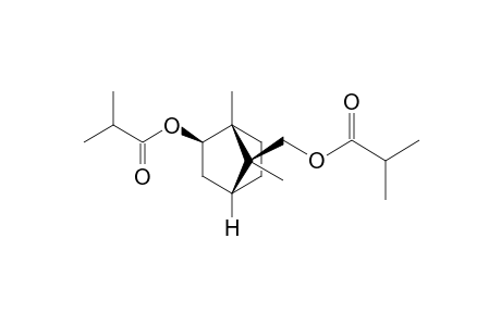 Isobornyl isobutanoate <8-isobutyryloxy->