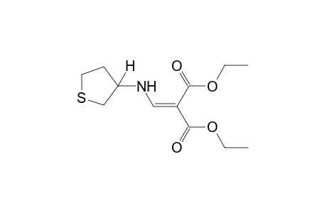 {[(tetrahydro-3-thienyl)amino]methylene}malonic acid, diethyl ester