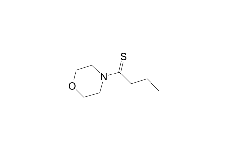 4-Butanethioylmorpholine