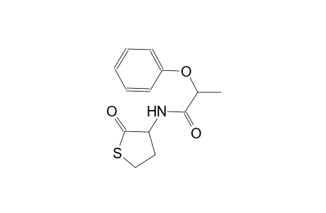 N-(2-oxotetrahydro-3-thienyl)-2-phenoxypropanamide