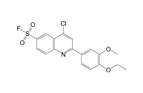 4-Chloro-2-(4-ethoxy-3-methoxyphenyl)-6-quinolinesulfonyl fluoride