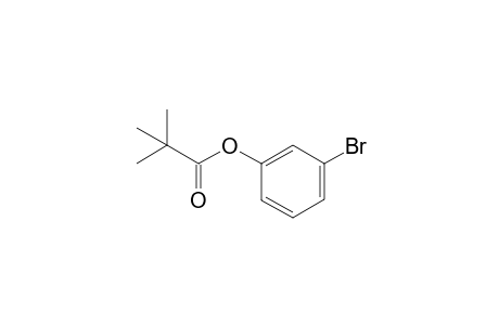 3-Bromophenyl pivalate