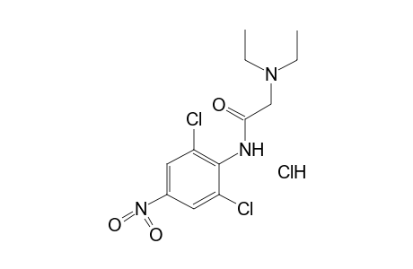 2',6'-dichloro-2-(diethylamino)-4'-nitroacetanilide, monohydrochloride