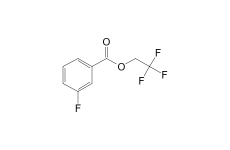 3-Fluorobenzoic acid, 2,2,2-trifluoroethyl ester