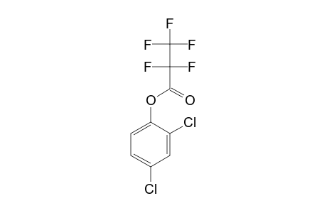 2,4-Dichlorophenol, pentafluoropropionate