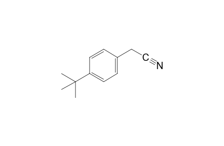 (p-Tert-butylphenyl)acetonitrile