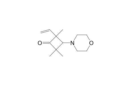 2,2,4-trimethyl-3-morpholino-4-vinyl-cyclobutanone