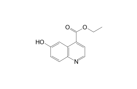 6-Hydroxy-cinchoninic acid, ethyl ester