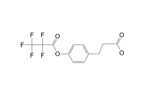 3-(4-Hydroxyphenyl)propionic acid, pentafluoropropionate