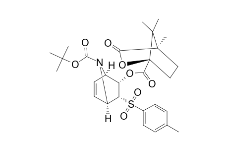 #22;(+/-)-(1S,4R,5S,6R)-7-TERT.-BUTOXYCARBONYL-5-ENDO-[(1S,4R)-CAMPHANOYLOXY]-6-ENDO-PARA-TOLUENESULFONYL-7-AZABICYCLO-[2.2.1]-HEPT-2-ENE;TERT.-BUTYL-(1