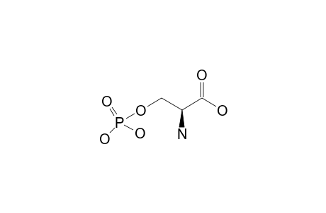 O-Phospho-L-serine