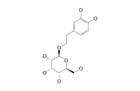 3,4-DIHYDROXYPHENYLETHYL-BETA-ALLOPYRANOSIDE