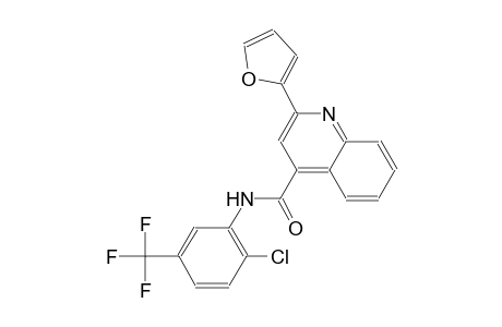 N-[2-chloro-5-(trifluoromethyl)phenyl]-2-(2-furyl)-4-quinolinecarboxamide