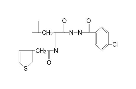 1-(p-chlorobenzoyl)-2-{N-[(3-thienyl)acetyl]leucyl}hydrazine