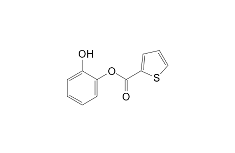 2-thiophenecarboxylic acid, o-hydroxyphenyl ester