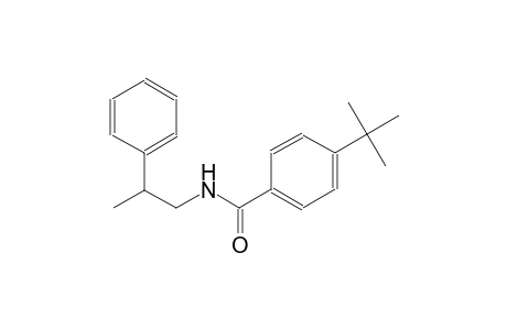 N-(2-phenylpropyl)-4-tert-butylbenzamide