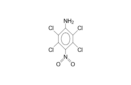 4-Nitro-2,3,5,6-tetrachloro-aniline