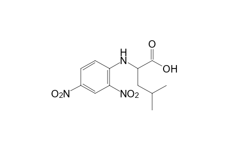 N-(2,4-dinitrophenyl)-L-leucine
