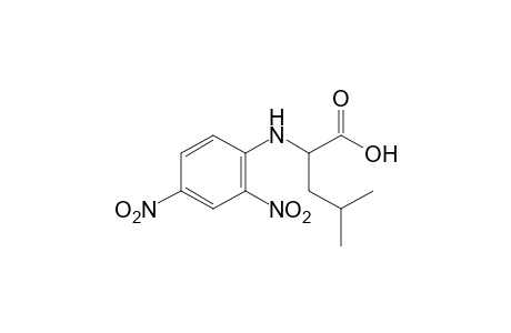 N-(2,4-dinitrophenyl)-L-leucine