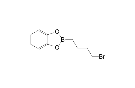 2-(4-Bromobutyl)-1,3,2-benzodioxaborole