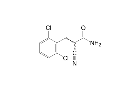 alpha-CYANO-2,6-DICHLOROCINNAMAMIDE