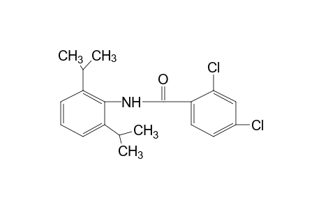 2,4-dichloro-2',6'-diisopropylbenzanilide