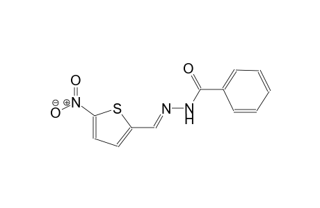 BENZOIC-ACID-[(5-NITRO-THIOPHEN-2-YL)-METHYLENE]-HYDRAZIDE