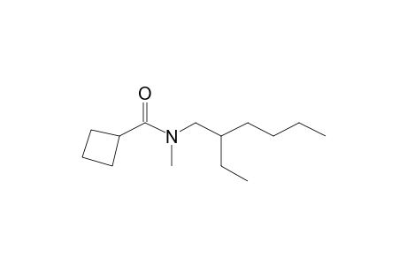 Cyclobutylcarboxamide, N-methyl-N-(2-ethylhexyl)-