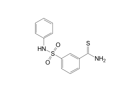 m-(phenylsulfamoyl)thiobenzamide