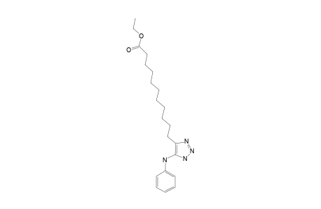 ETHYL-11-[5'-(PHENYLAMINO)-1'H-1',2',3'-TRIAZOL-4'-YL]-UNDECANOATE