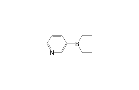 diethyl-pyridin-3-ylborane