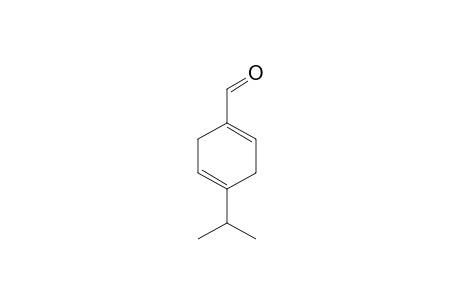 Terpinen-7-al <gamma->