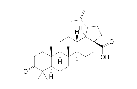 3-oxolup-20(29)-en-28-oic acid