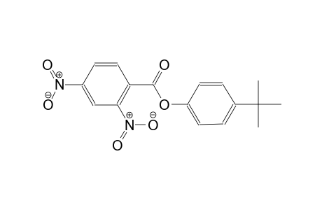 4-tert-butylphenyl 2,4-dinitrobenzoate