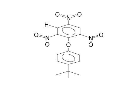 1-(4-TERTBUTYLPHENOXY)-2,4,6-TRINITROBENZENE