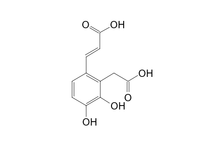 Acid part of Salvianoic acid D