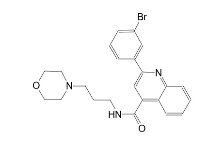 2-(3-bromophenyl)-N-[3-(4-morpholinyl)propyl]-4-quinolinecarboxamide