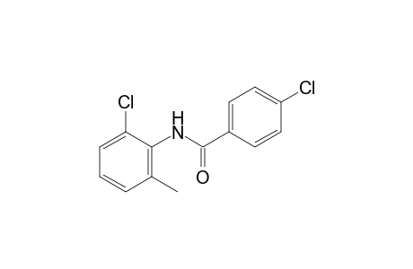 4,6'-Dichloro-o-benzotoluidide