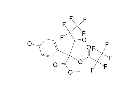 Phma-me-di-pfp