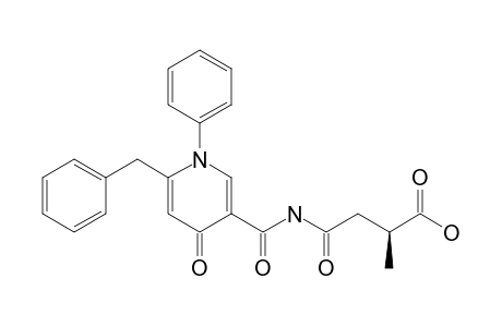 NYGERONE_A