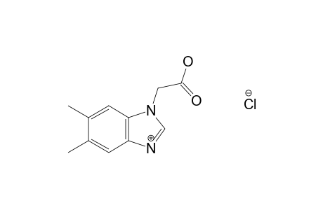 5,6-dimethyl-1-benzimidazoleacetic acid, hydrochloride