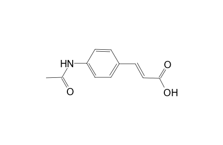 (2E)-3-[4-(acetylamino)phenyl]-2-propenoic acid