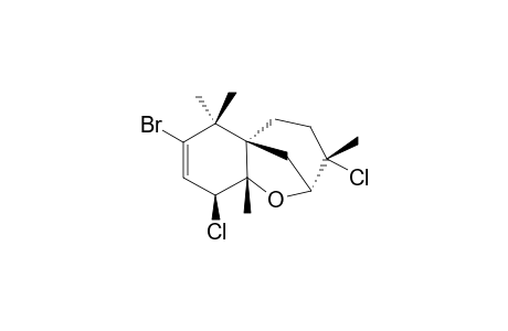 LAUROKAMIN-B