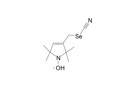 1,2,5,6-Tetrahydro-4-selenocyanatomethyl-2,2,6,6-tetramethylpyridilin-1-yloxy radical