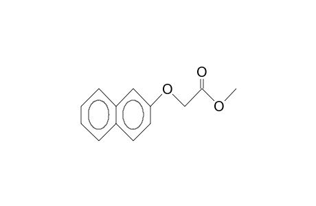 (2-Naphthyloxy)-acetic acid, methyl ester